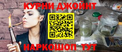индика Сланцы