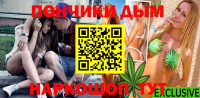 индика Сланцы