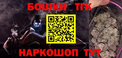 индика Сланцы