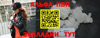 индика Сланцы