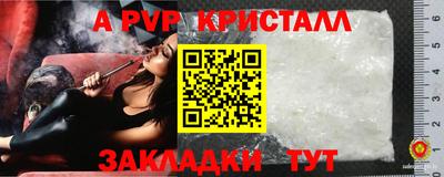 ECSTASY Славгород
