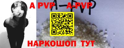 индика Сланцы