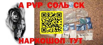 индика Сланцы