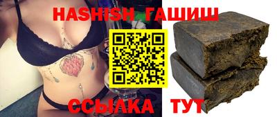 индика Сланцы