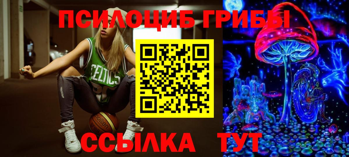 Новошахтинск  Псилоцибиновые грибы Psilocybine cubensis  сколько стоит  Вход с VPN 