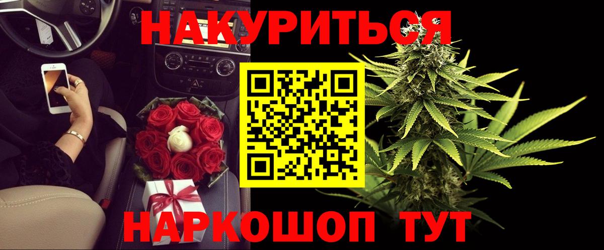 Марихуана сатива Новошахтинск